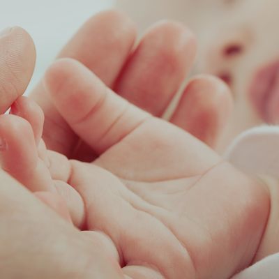 A baby's hand is being held by someone's hand.